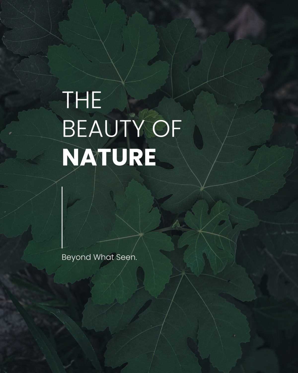 Close-up of fig leaves with the words The Beauty of Nature